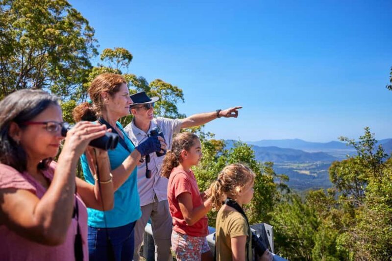 From Cairns: Rainforest & Nocturnal Wildlife Tour - Discovering the Queensland Rainforest: What to Expect