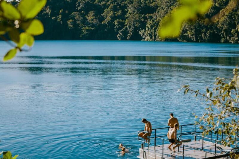 From Cairns: Waterfall Tour with Lunch - An In-Depth Look at the Waterfall Tour