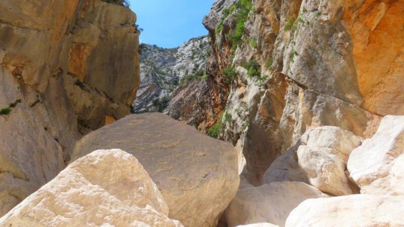 From Cala Gonone: Gorropu hiking with lunch - A Closer Look at the Gorropu Hiking Experience