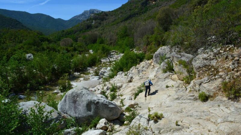 From Cala Gonone: Gorropu hiking with lunch - Frequently Asked Questions