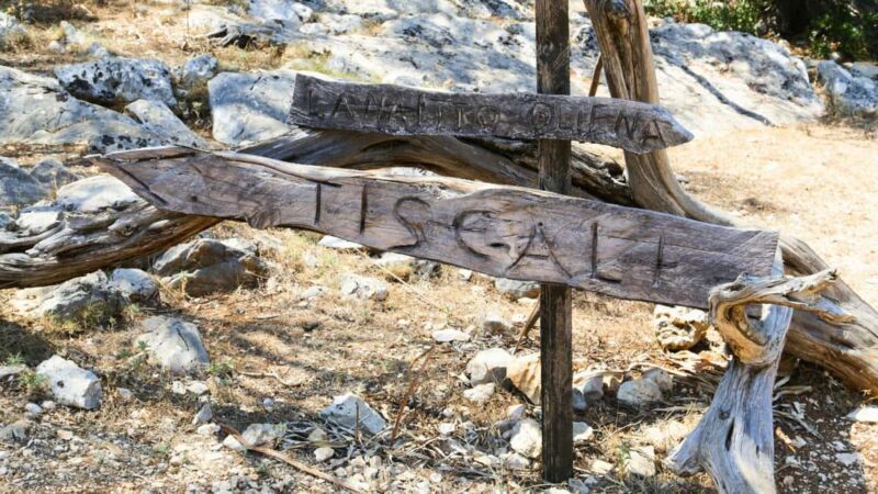 From Cala Gonone: Tiscali Nuragic Village Trekking Tour - The Value and Overall Impression