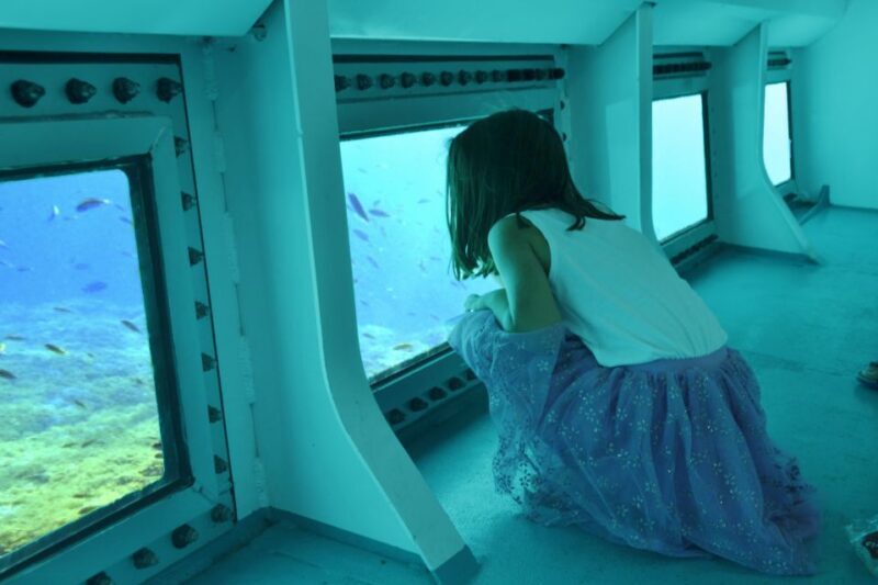 From Cala Millor: East Coast Glass-Bottom Boat Trip - In-Depth Look at the Experience