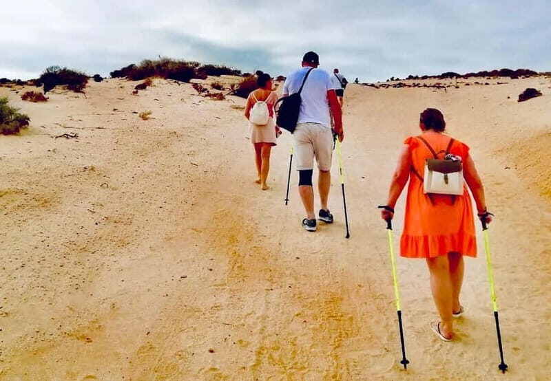 From Caleta: Sotavento, La Pared, Morro Jable Tour - Practical Details and Value