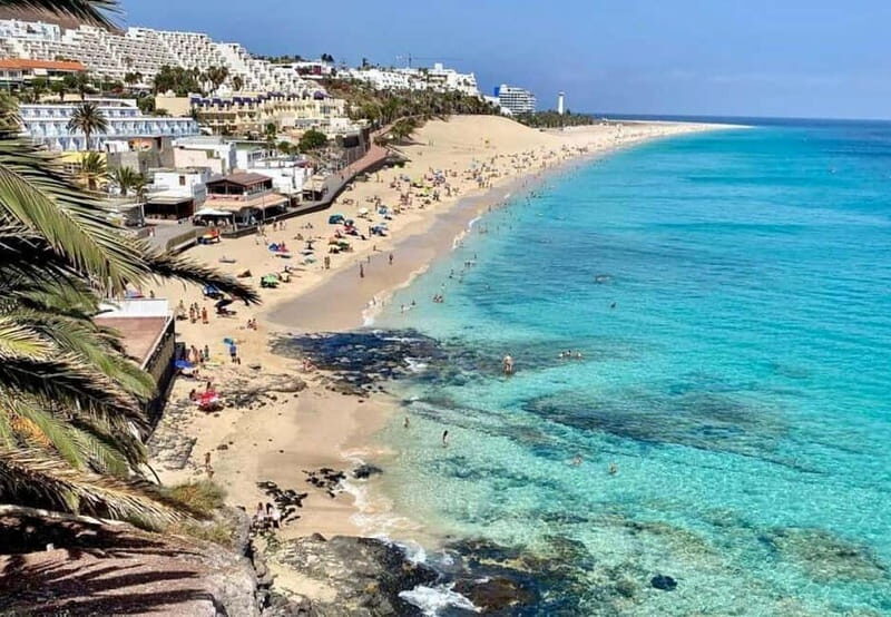 From Caleta: Sotavento, La Pared, Morro Jable Tour - The Sum Up: Is This Tour Right for You?