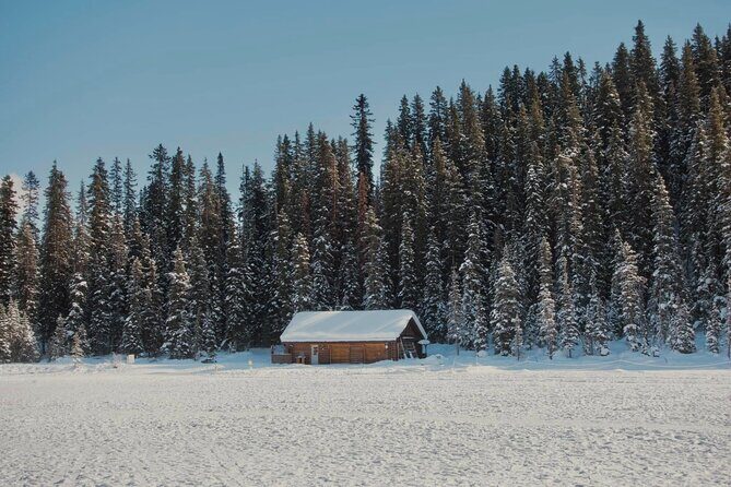 From Calgary: Moraine, Lake Louise & Johnston Canyon- Shared Tour - The Itinerary Breakdown: What to Expect