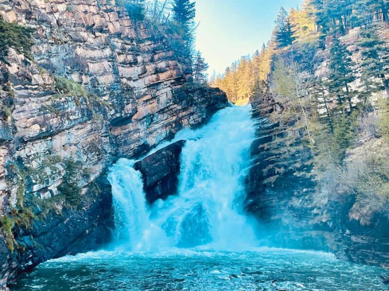 From Calgary: Waterton National Park Guided Tour - What You Can Expect from the Tour