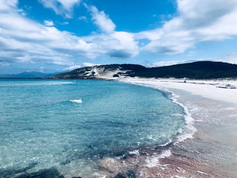 From Calvi: 4x4 Day Tour Mountain & Agriates' Saleccia Beach - Key Points