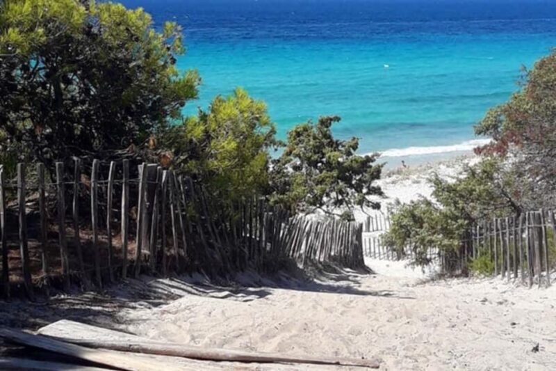 From Calvi: 4x4 Day Tour Mountain & Agriates' Saleccia Beach - Price and Overall Value