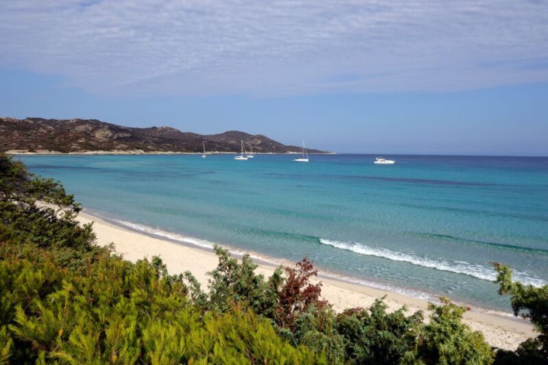 From Calvi: Agriate Guided Jeep Tour to Lotu and Saleccia - What to Expect from the Calvi Agriate Jeep Tour