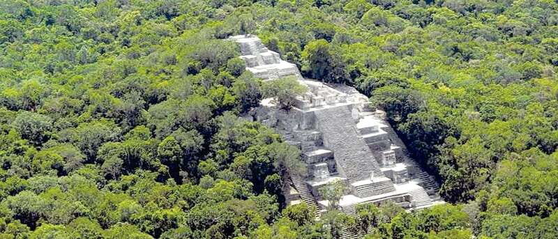 From Campeche: Calakmul Guided Nature and History Day Trip - An In-Depth Look at the Tour