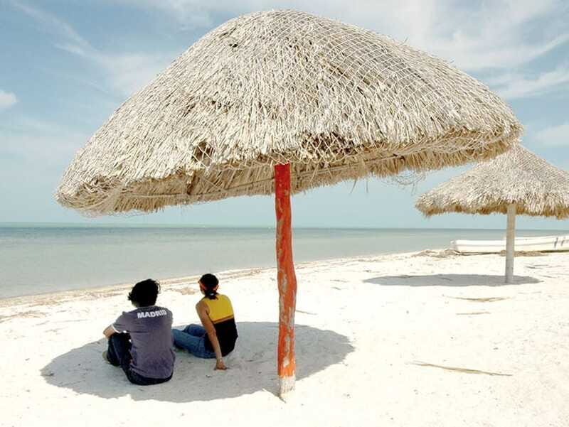 From Campeche: Flamingo Private Tour - FAQ