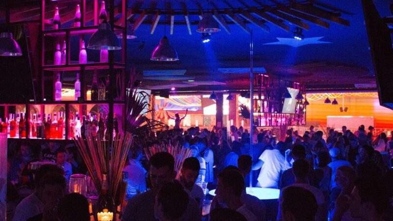 From Can Picafort: Ballermann Night Tour by Bus - What to Expect from the Ballermann Night Tour