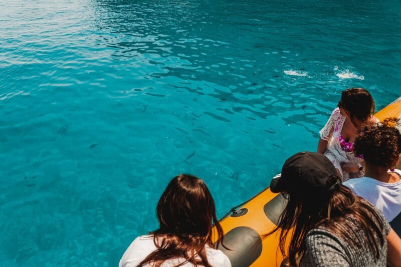 From Can Picafort: Dolphin Watching and Cave Boat Trip - Exploring the Can Picafort Dolphin Watching and Cave Boat Trip