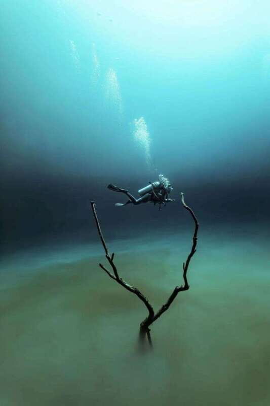 From Cancun: Angelita and Taj Ma Ha Cenote Diving Experience - What to Expect on the Tour