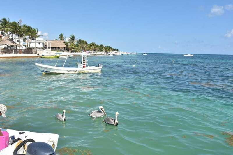 From Cancun: ATV EXPRESS Cenote Adventure with lunch - Final Thoughts