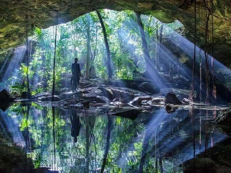 From Cancun: Dos Ojos Cenote Diving Experience - The Dives