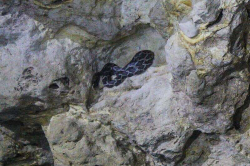 From Cancun: Kantemó Snake Cavern Adventure - What to Expect at Each Stage