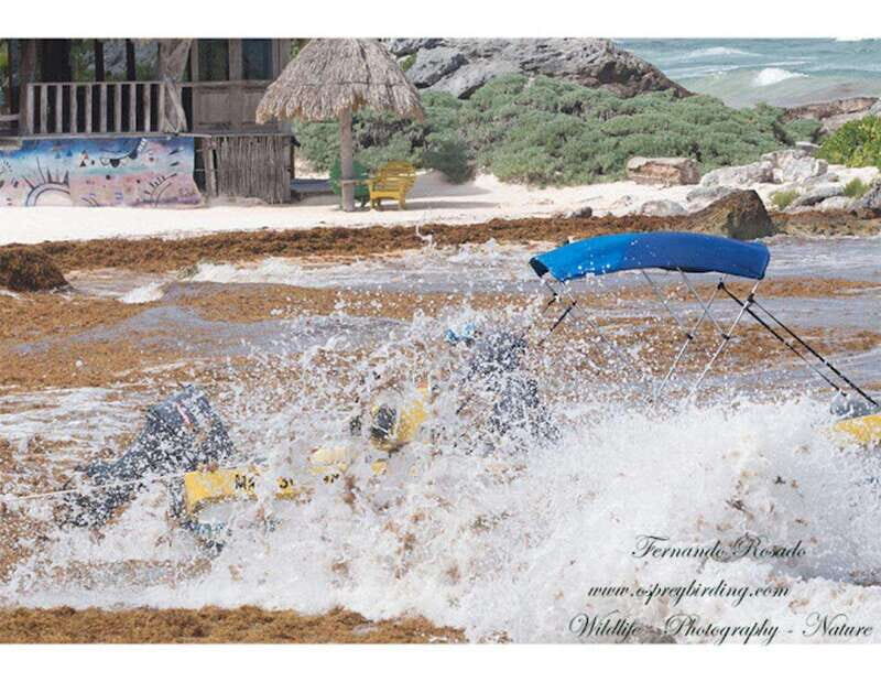 From Cancun: Lagoon k'an luum - The Experience Provider: Arrecife Expeditions