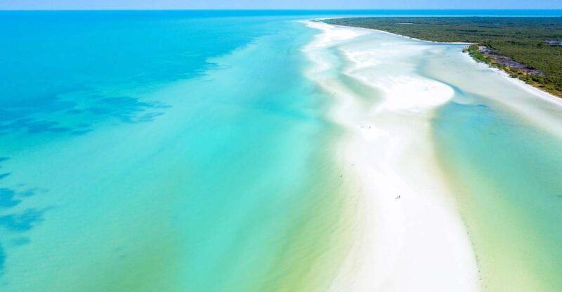 From Cancun or Puerto Morelos: Holbox Boat Tour with Lunch - Who Will Love This Tour?