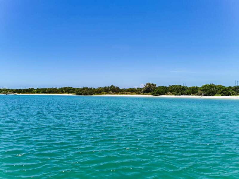 From Cancún: Rio Lagartos & Las Coloradas Day Trip & Lunch - Who Is This Tour Best For?