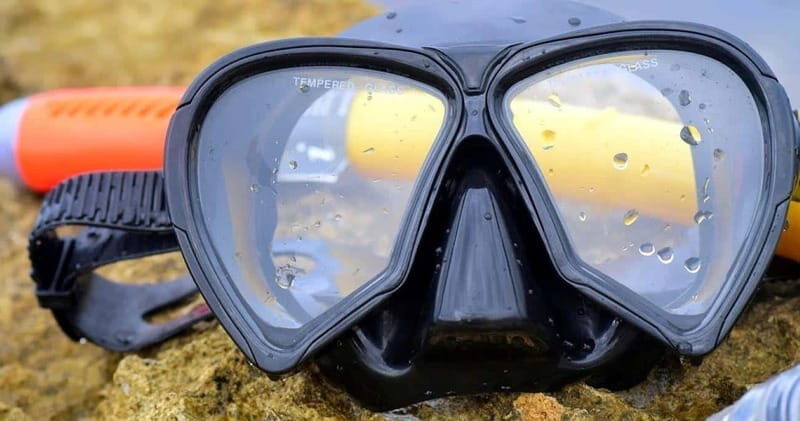 From Cancun: Snorkeling Cozumel Reefs - Final Thoughts: Who Should Consider This Tour?