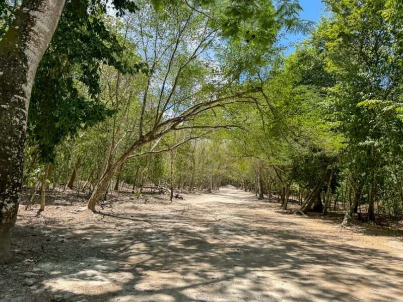 From Cancun: Tour to Tulum and Coba with cenote visit and lunch buffet - Who Will Enjoy This Tour?