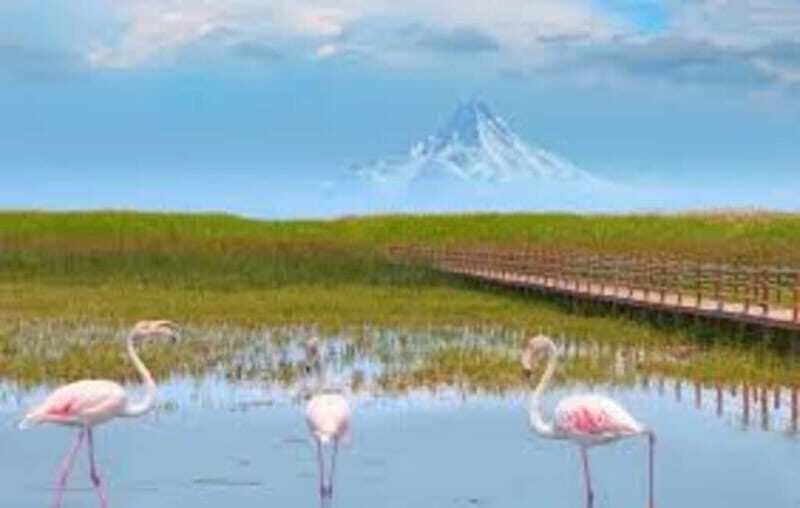 From Cappadocia: Sultan Marshes Area & Waterfall Tour - Key Points