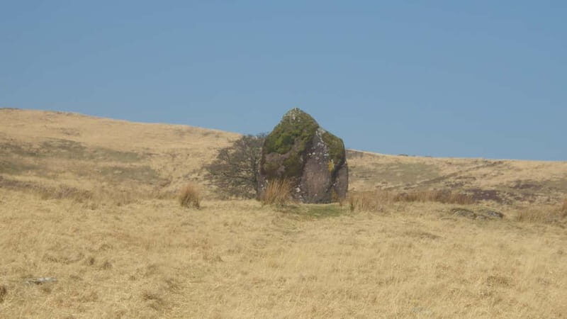 From Cardiff: Brecon Beacons Waterfall Walking Tour - Key Points