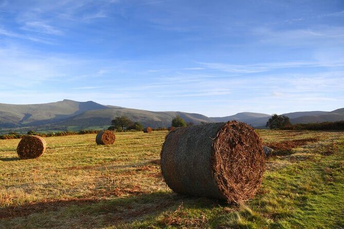 From Cardiff: The Valleys Heritage And South Wales Landscapes - A Warm Look at the Cardiff: The Valleys Heritage And South Wales Landscapes Tour