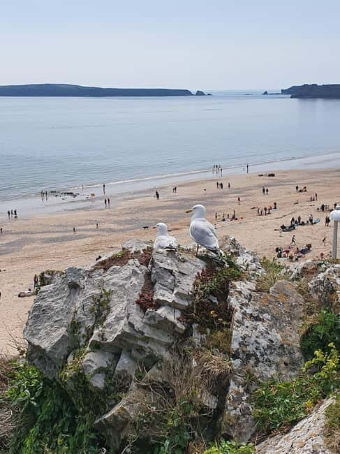 From Cardiff: The Wandering Bard's Mythical West Wales Tour - The Experience’s Strengths