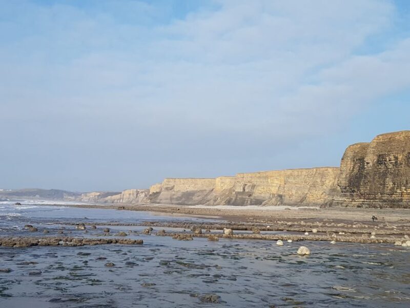 From Cardiff: Tour of Cardiff Bay and Vale of Glamorgan - The Value in This Experience