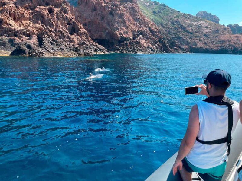 From Cargèse : The Calanques of Piana - Key Points