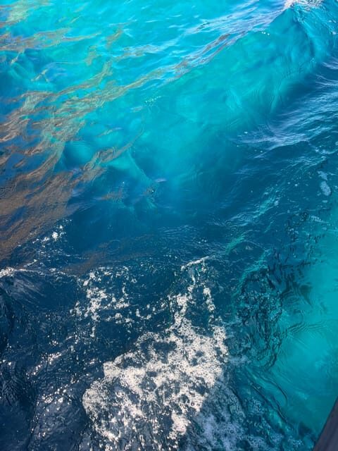 From Cargèse : The Grand Tour of the Gulf - FAQ