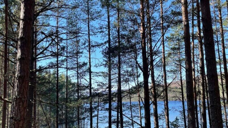 From Carrbridge: Cairngorms, Whisky, and Highland History - Highland Folk Museum: Stepping Back in Time