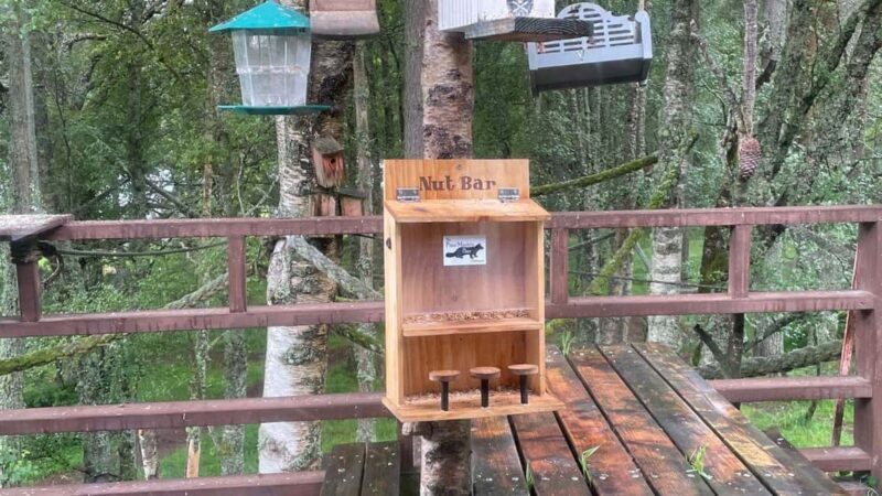 From Carrbridge: Cairngorms, Whisky, and Highland History - Scenic Drives and Final Views