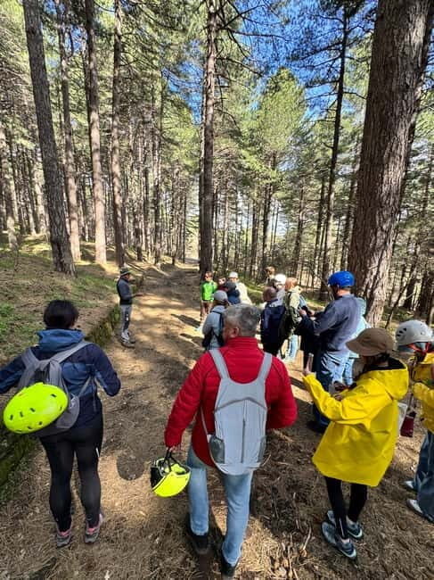 From Catania: Etna Trekking 2000m with Hotel Pick-up - Key Points