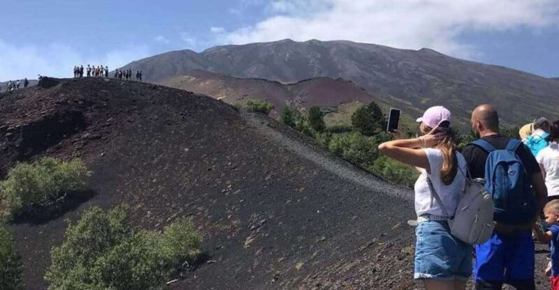 From Catania: Guided Hike on Etna, wines and nibbles - Who Should Consider This Tour?