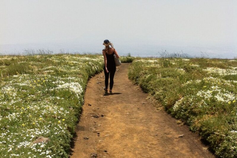 From Catania: Mount Etna Half-Day Tour and Wine Experience - Final Thoughts