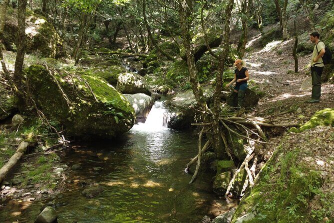 From Catania, Syracuse and Taormina: fly fishing experience - A Deep Dive into the Sicily Fly-Fishing Tour