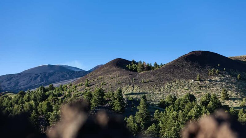 From Catania: trek on Mount Etna, Lava Cave & tasting Tour - Who Is This Tour Best For?