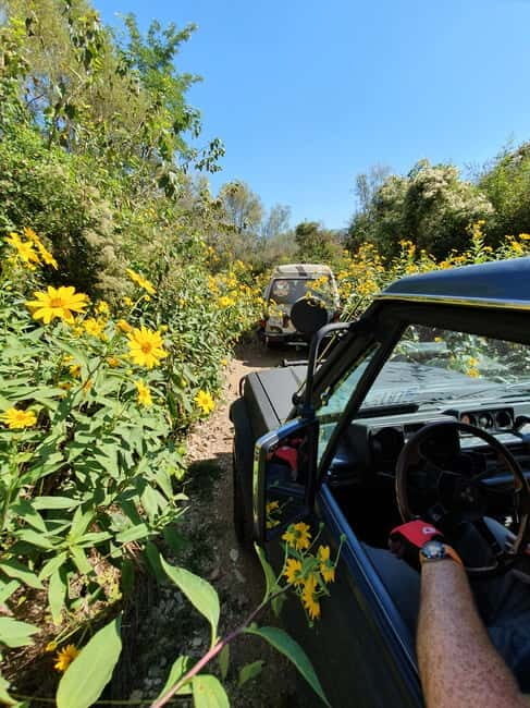 From Cavtat: Konavle Valley Off-Road Jeep Safari with Lunch - Who Will Enjoy This Tour?