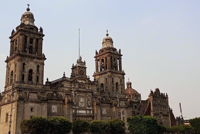 From cdmx: Citywalking Private Tour by cdmx - Discovering the Heart of Mexico City: What to Expect from the Tour