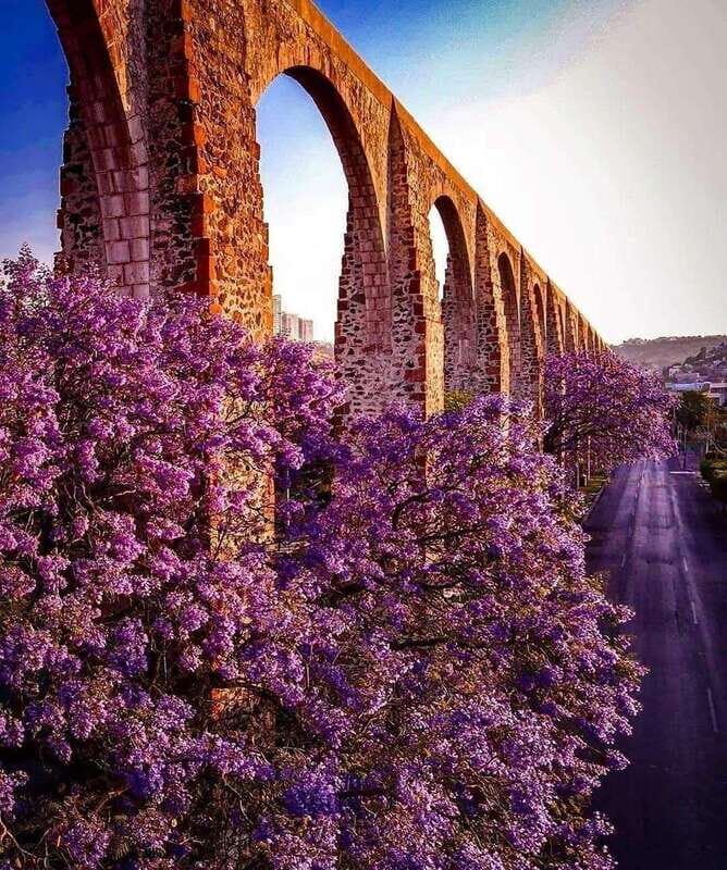 FROM CDMX: Queretaro, Hidalgo, Guanajuato, SLP, Zacatecas, Guadalajara - FAQs