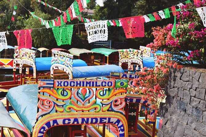 From cdmx: Tour in Coyoacan and Xochimilco all inclusive - The Experience’s Strengths and Limitations