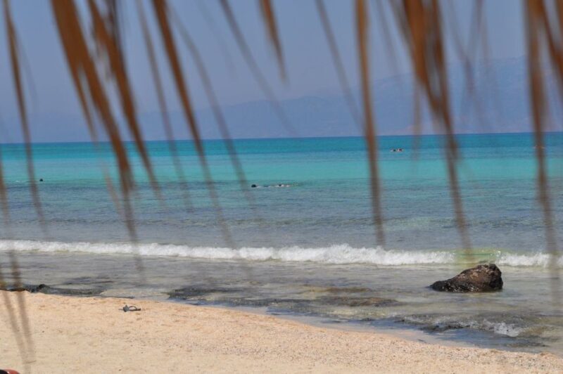 From Chania Area: Day Trip to Elafonisi Island by Bus - What the Tour Entails