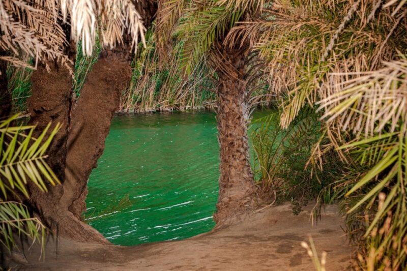 From Chania: Day Trip to Preveli Beach & Damnoni Beach - Final Thoughts