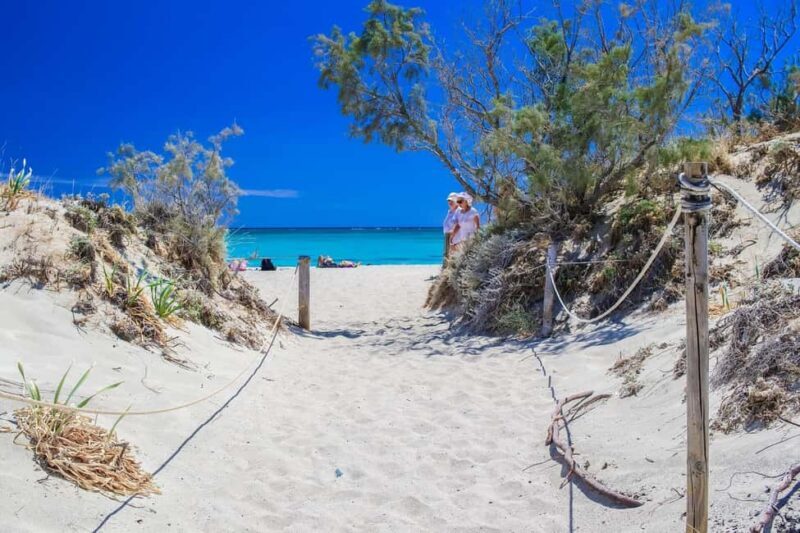 From Chania: Elafonisi Pink Sand Beach Day Trip w/ Elos Stop - Key Points