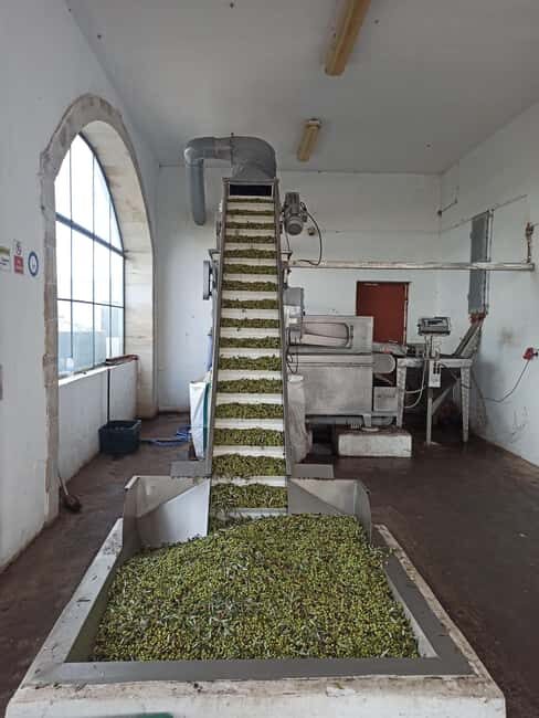 From Chania: Falassarna Beach, Wine & Olive Oil Private Tour - What to Expect from This Tour