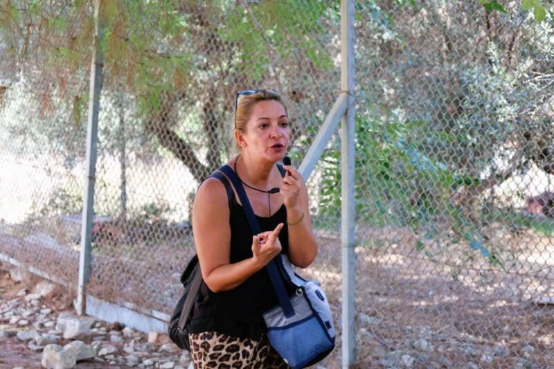 From Chania: Full-Day Heraklion Highlights Guided Tour - Final Thoughts