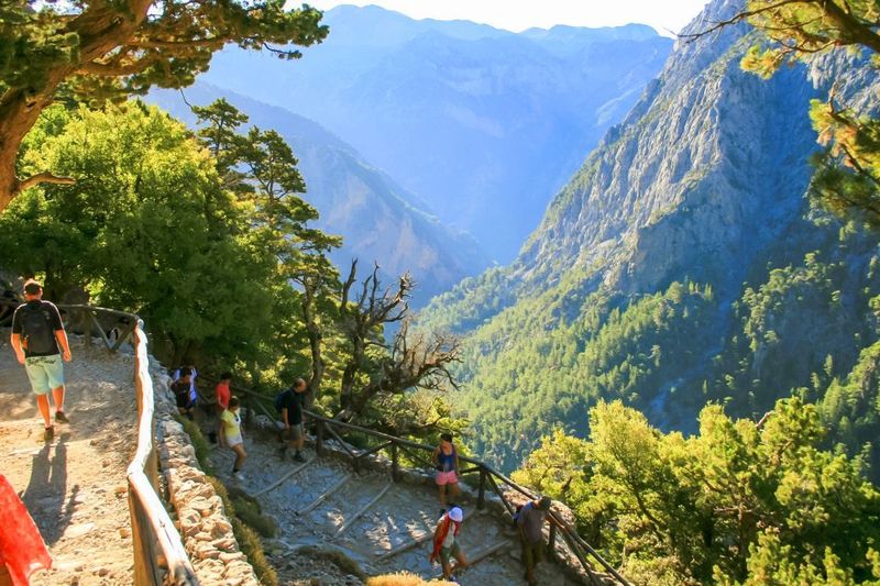 From Chania: Full-Day Samaria Gorge Trek Excursion & Guide - Thousand-year-old forest and freshwater springs: what you’re actually seeing